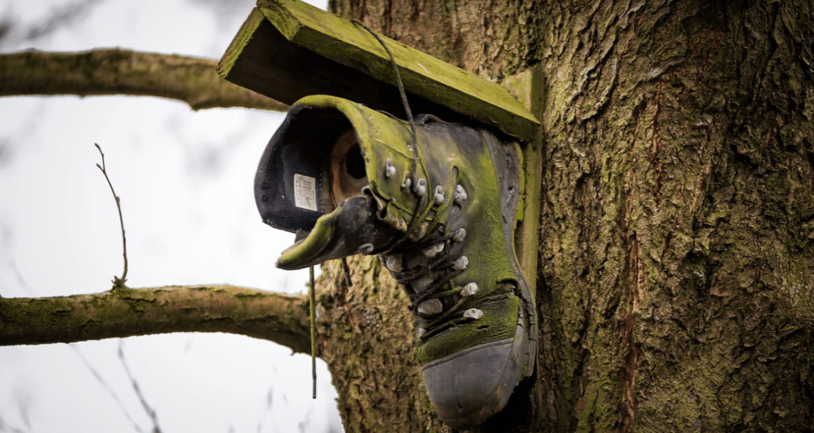 Upcycled Boot nailed to a tree to make a birdhouse