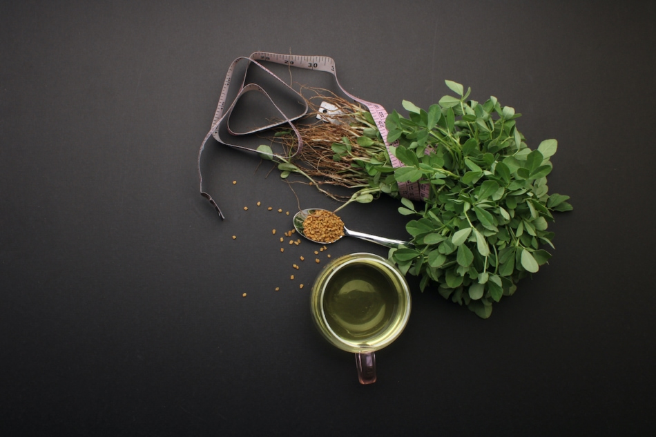 Fenugreek herb and seeds with tea