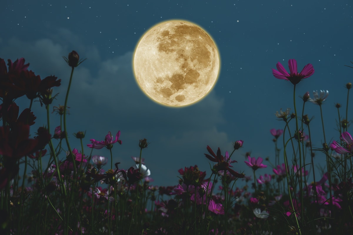 Full Moon Calendar 2021: When Is The Next Full Moon? | Dates & Times