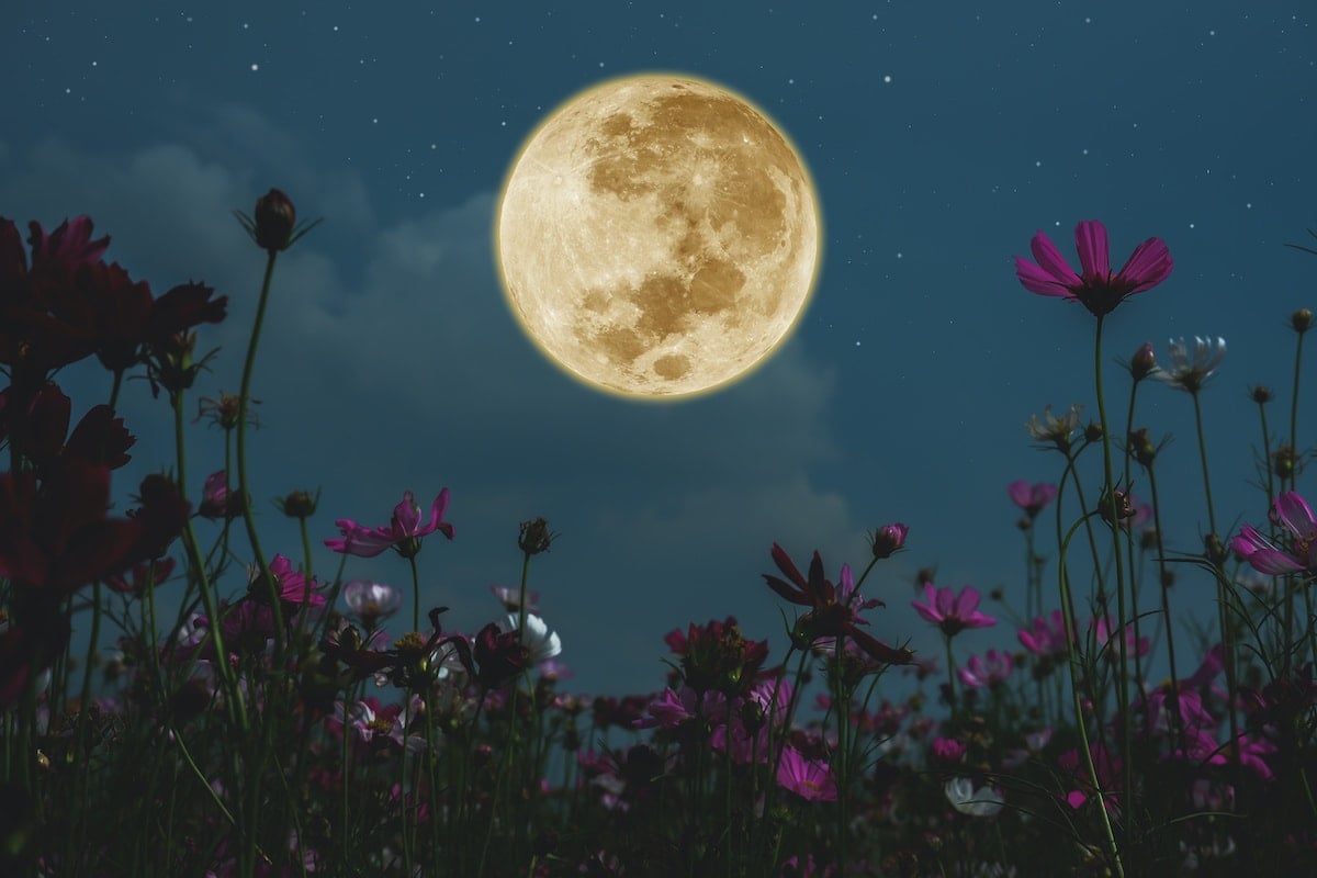 full moom july 2021