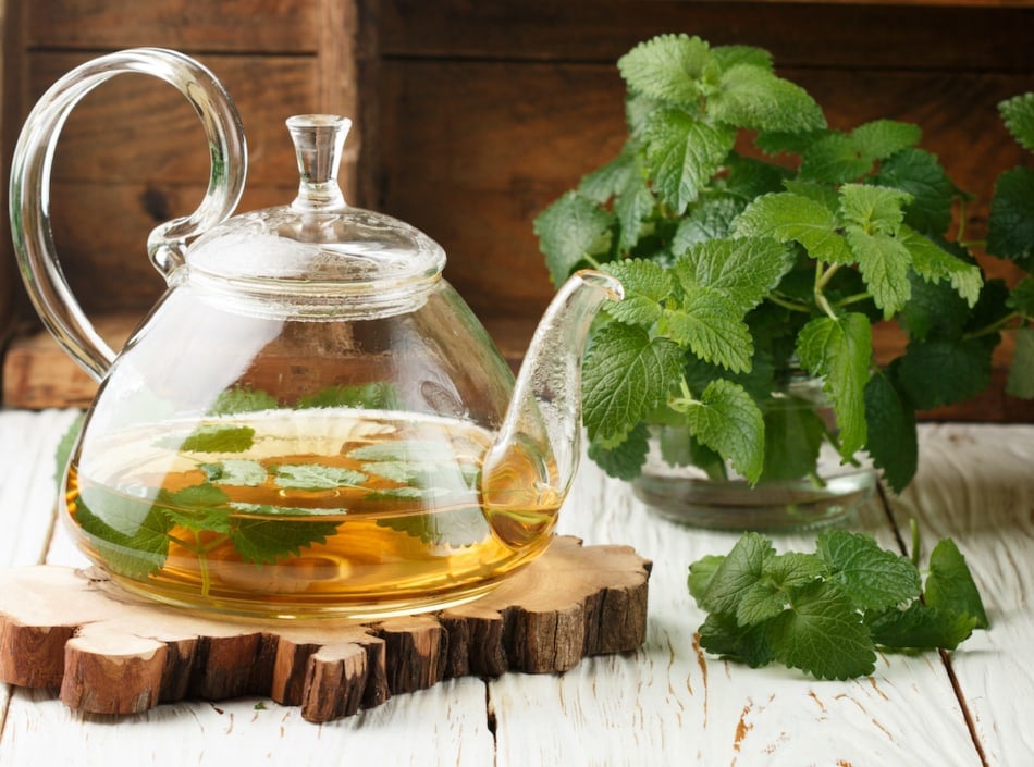 Herbal tea in a transparent teapot on the table and sprigs of fresh Melissa (lemon balm) and mint. Selective focus