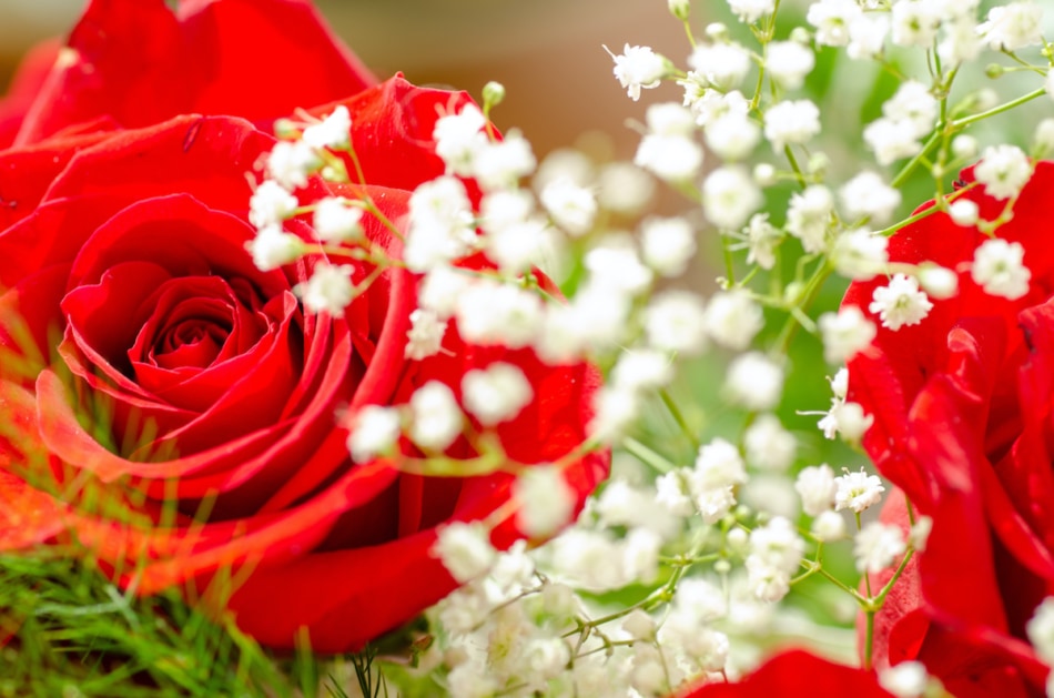 Baby's breath with red roses.