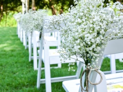 Baby’s Breath: Tiny White Flowers That Steal The Show featured image