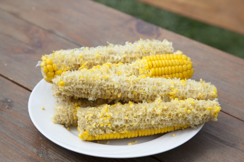 Empty boiled corn on white dish. Whole, partly eaten on a wooden table