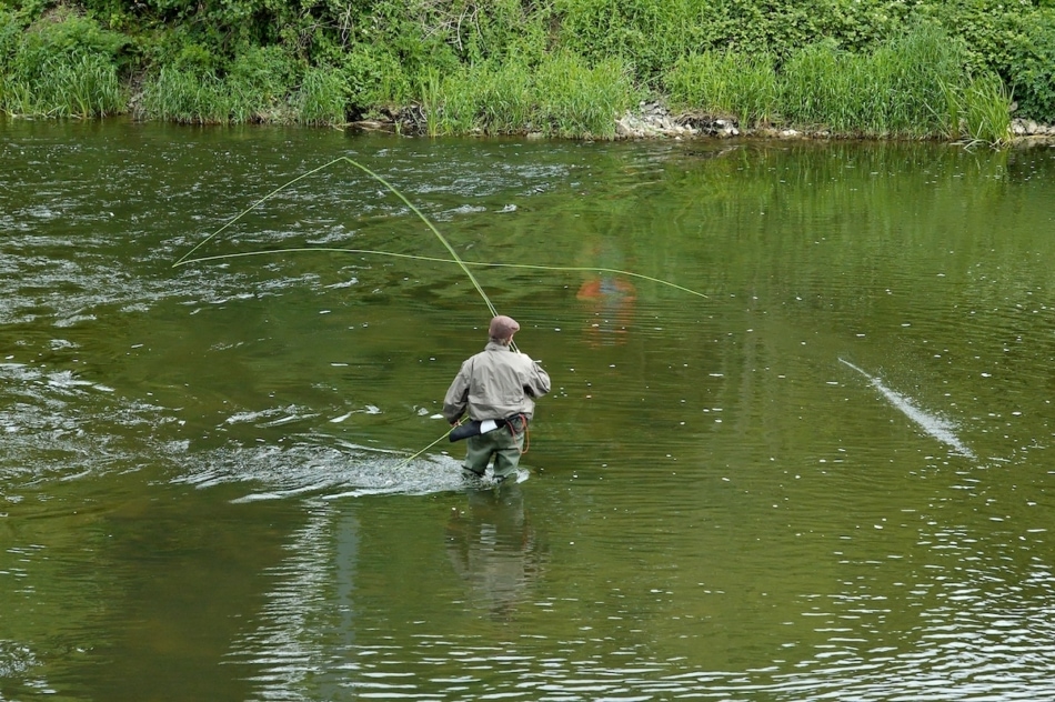 Fly fisherman wading in a stream.