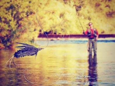 Fly Fishing: A Beginner’s Guide featured image