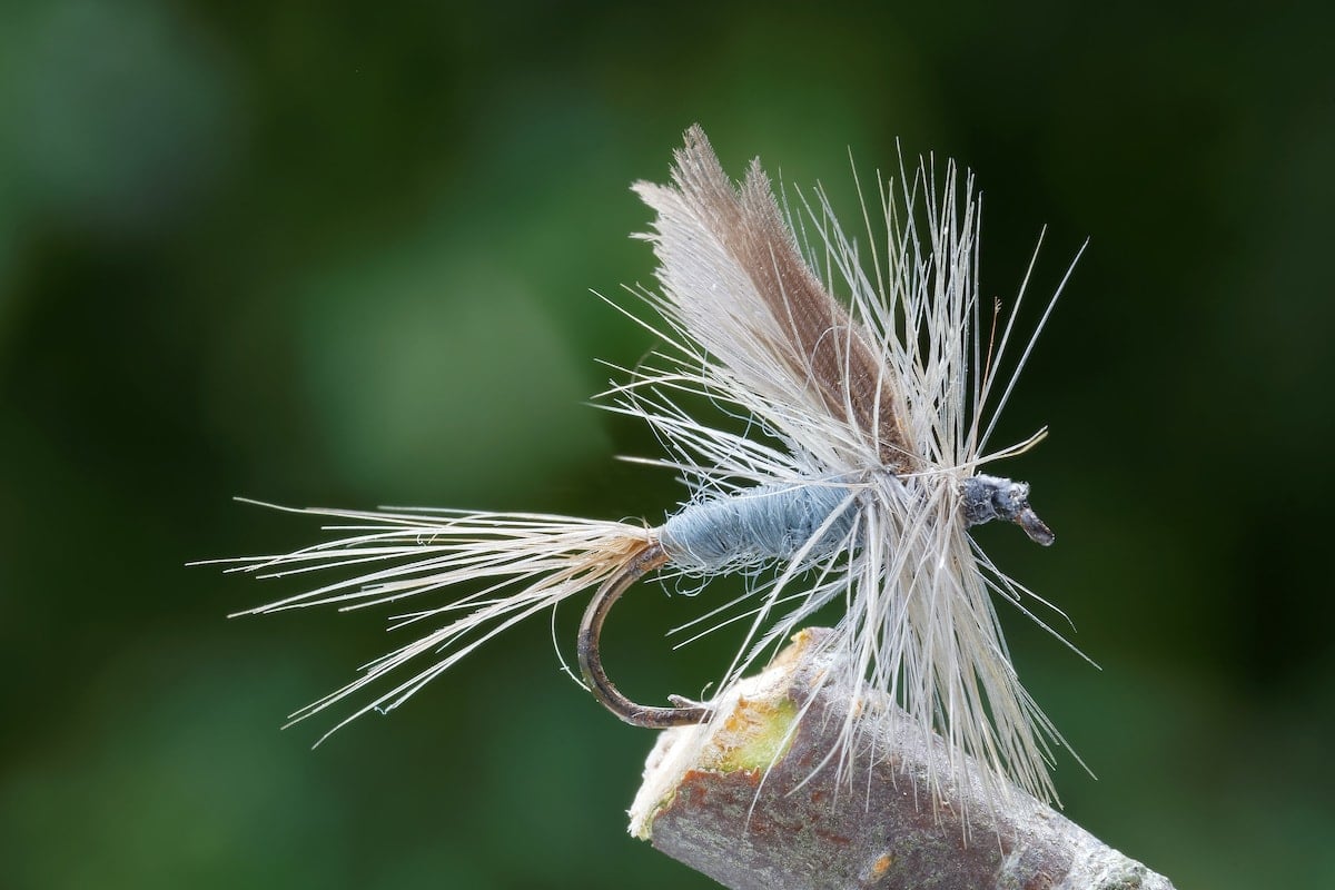 How To Pick The Best Fly For Fly Fishing Farmers' Almanac