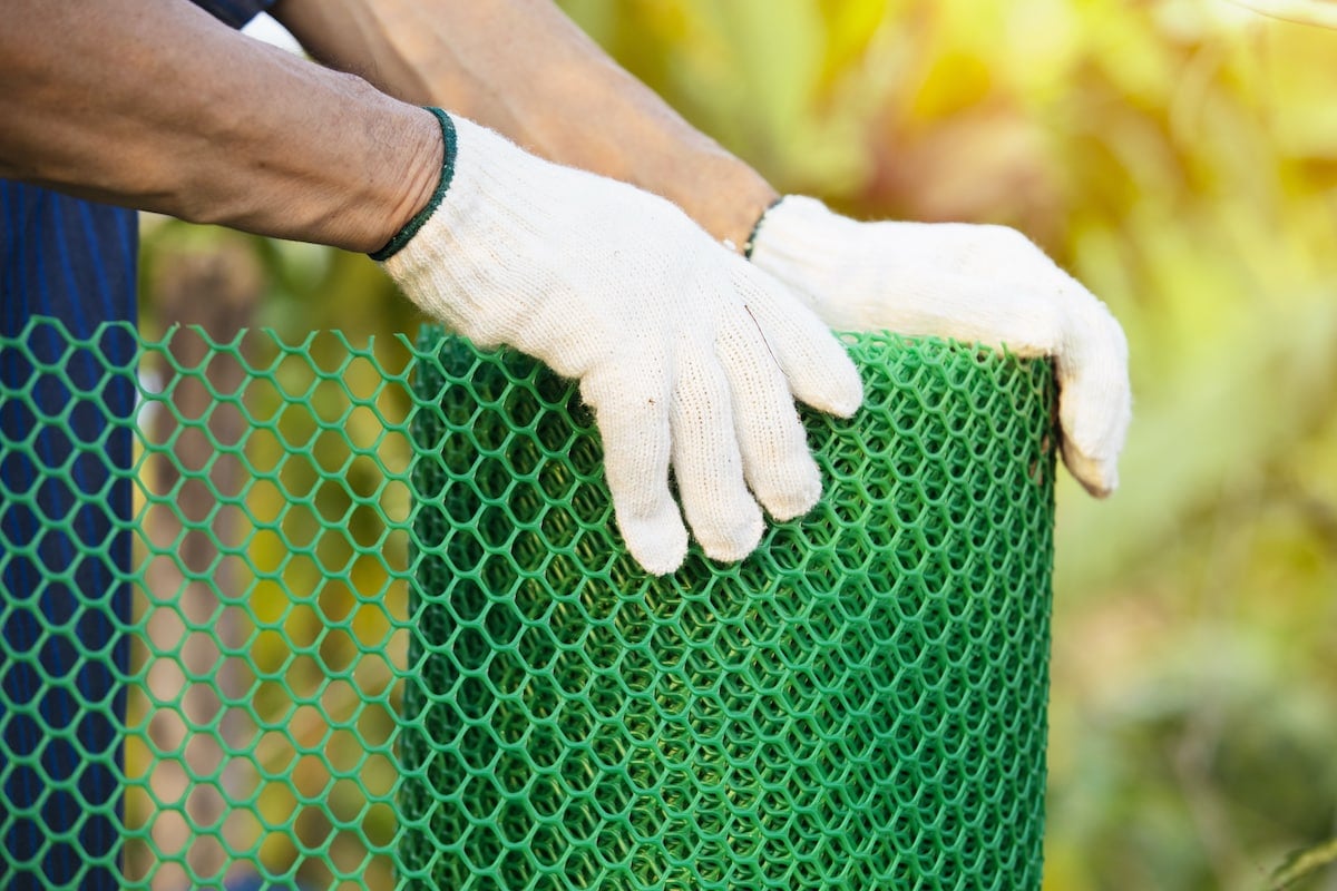 Roll of hardware cloth mesh used as a physical squirrel barrier in vegetable beds and around potted plants.