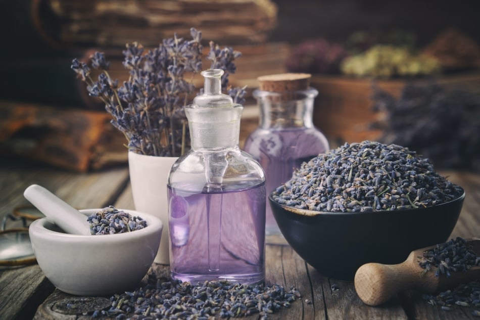 Bowl of dry lavender flowers, mortars, bottles of essential lavender oil or infused water. Old books and medicinal herbs on background.