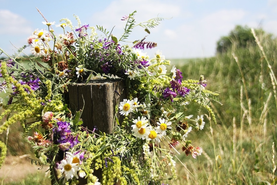 When and What is Midsummer? Farmers' Almanac