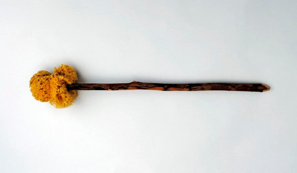 sponge on a stick