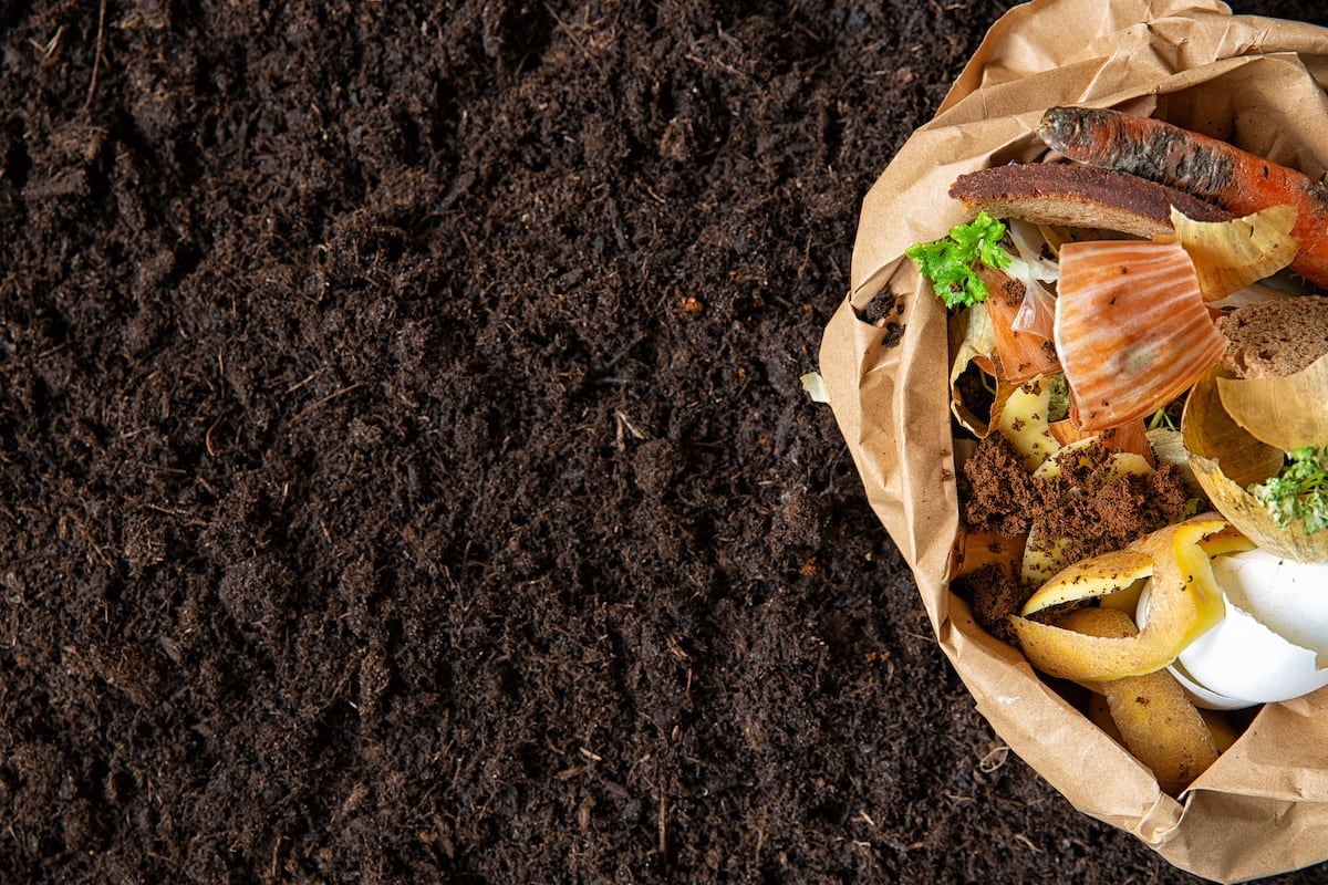 Dark rich compost next to kitchen scraps before decomposition.