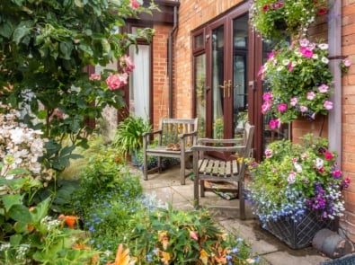 How To Keep Your Garden Thriving During a Heatwave featured image