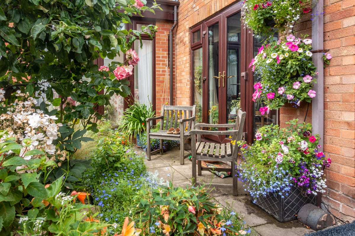 Two weathered wooden chairs sit on a stone patio surrounded by blooming petunias and lush garden greenery.