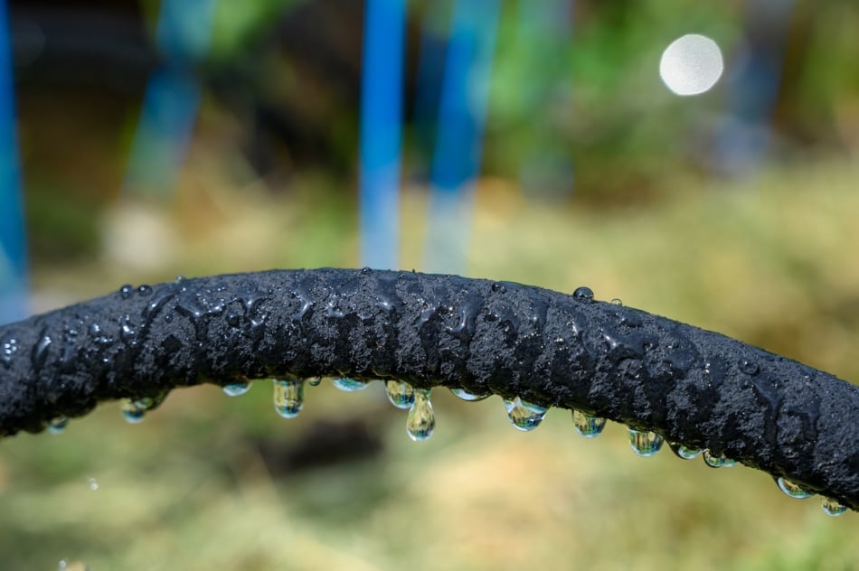 water dripping from black rigid soaker hose with garden background.