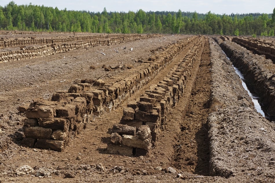 Pile of stacked bog peat moss turf briquettes drying in the field.