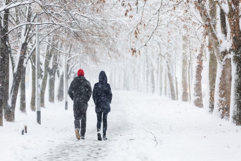 Couple walking during heavy snowstorm on the alley under the trees.