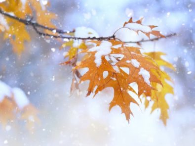 Extended Fall Forecast 2022: When Will Sweater Weather and Snow Arrive? featured image