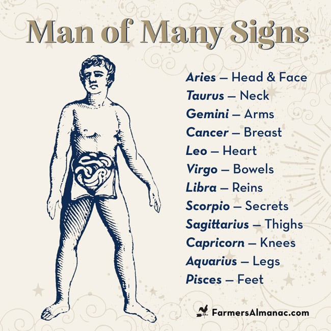 Zodiac signs and corresponding body parts.