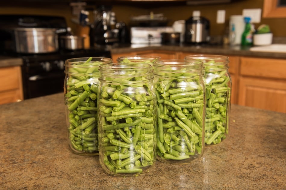 Process of canning green beans.