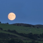 A summer Moon rising over the fields of Bute, Scotland