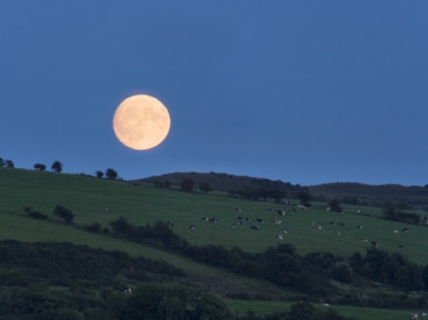 A summer Moon rising over the fields of Bute, Scotland