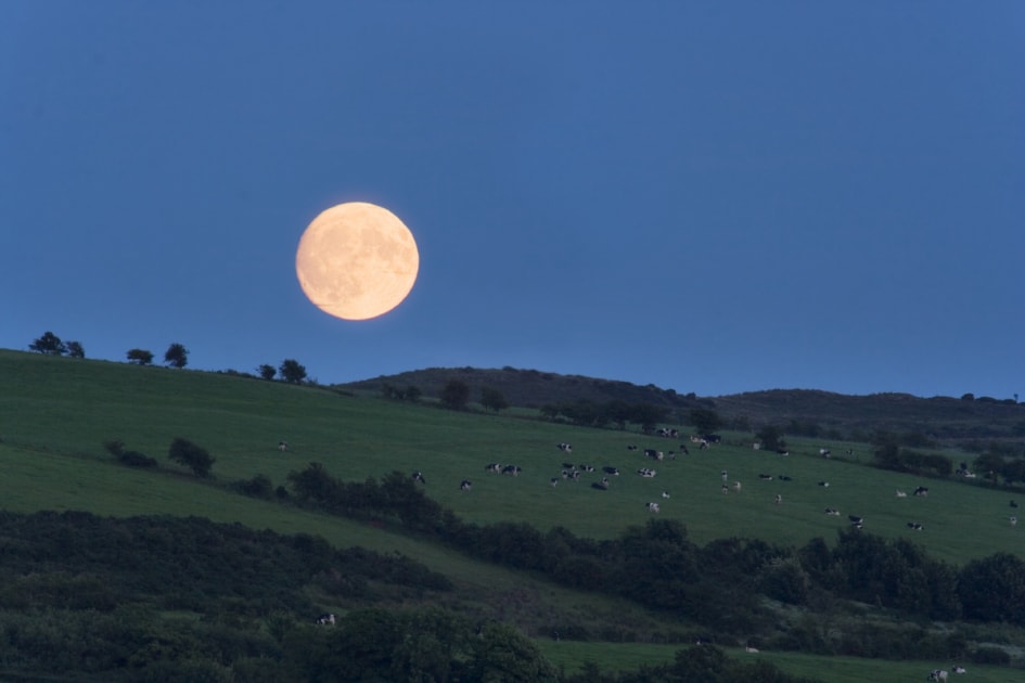 A summer Moon rising over the fields of Bute, Scotland