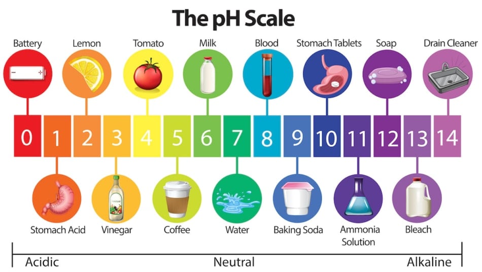 pH scale infographic.