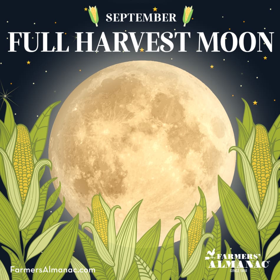 October Harvest Moon graphic.