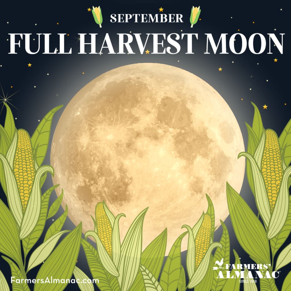 When Is The Harvest Moon In 2025 Gerri Juanita