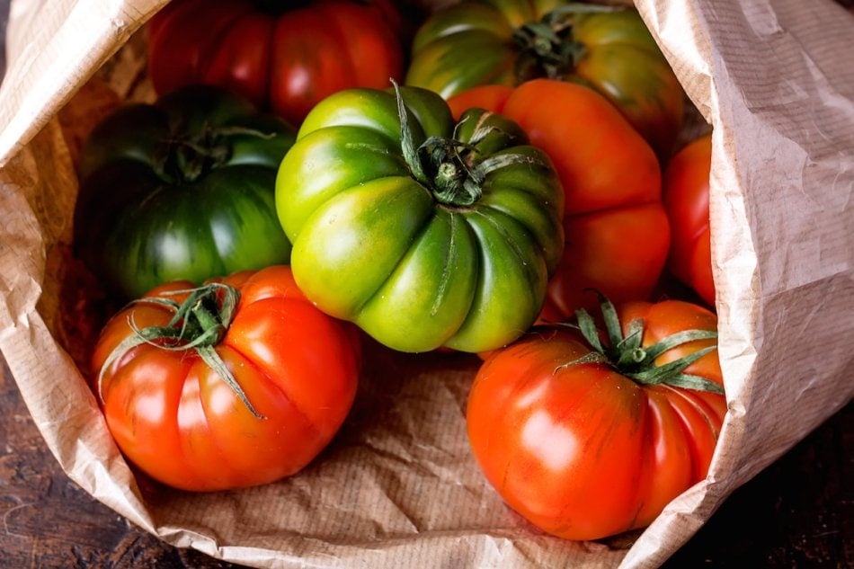 Ripen green tomatoes indoors using our tips.