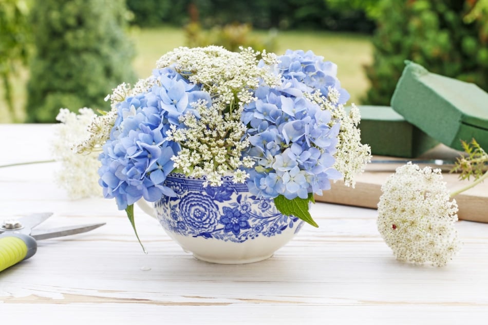 Florist at wotk: How to make floral arrangement with blue hortensia (hydrangea) and white Queen Anne's lace (daucus carota) flowers on white wooden table. Step by step, tutorial.