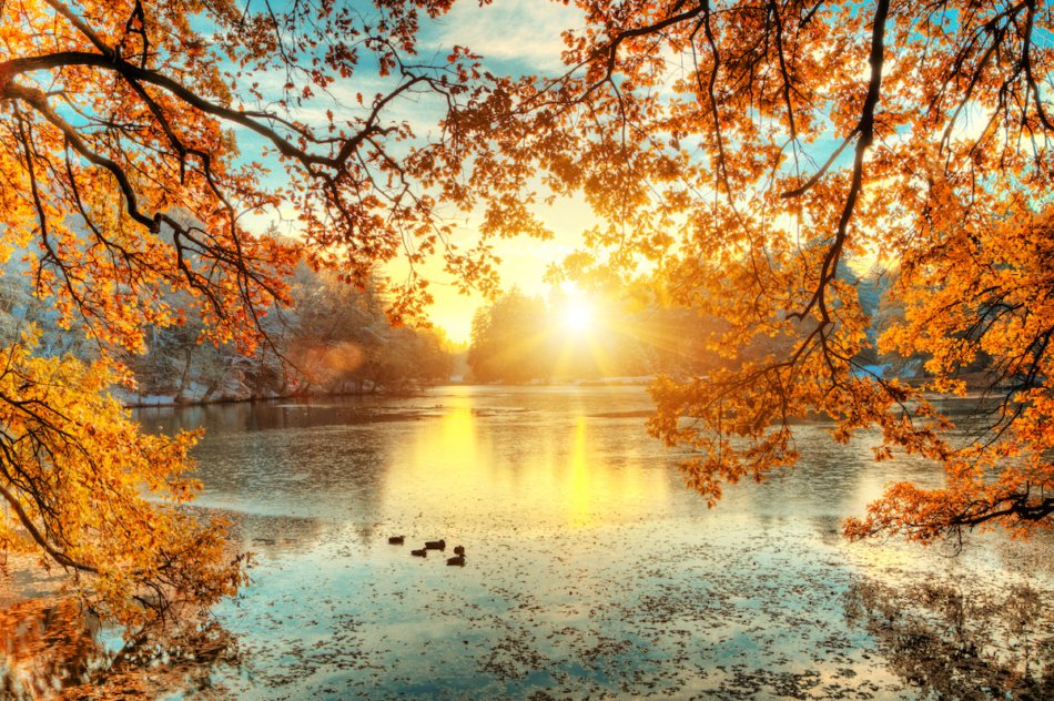 Beautiful colored trees with lake in autumn, landscape photography. Late autumn and early winter period. Outdoor and nature.
