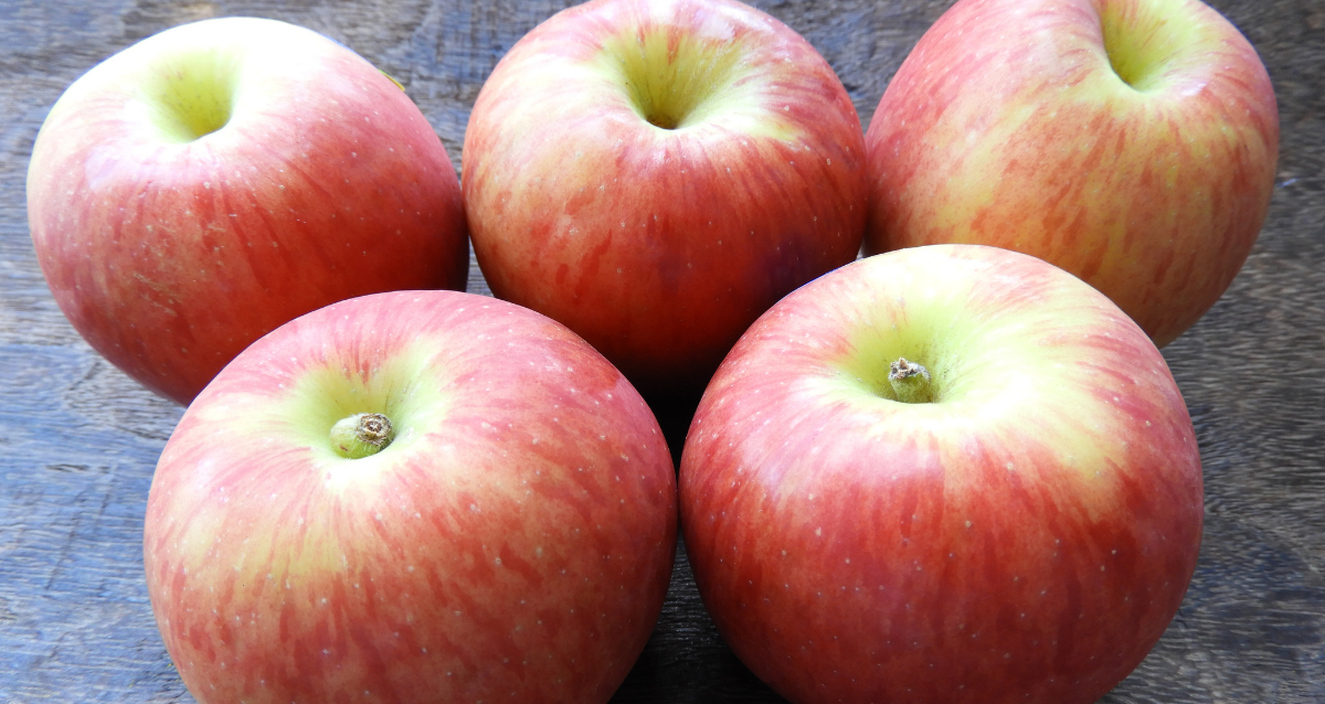 21 Apple Varieties To Sink Your Teeth Into This Fall Farmers' Almanac