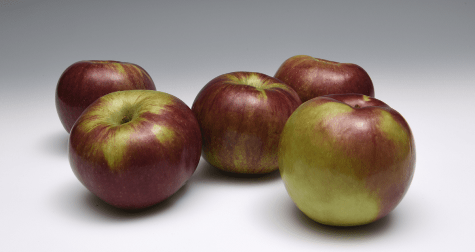 McIntosh apples are one of the most popular varieties of apples.