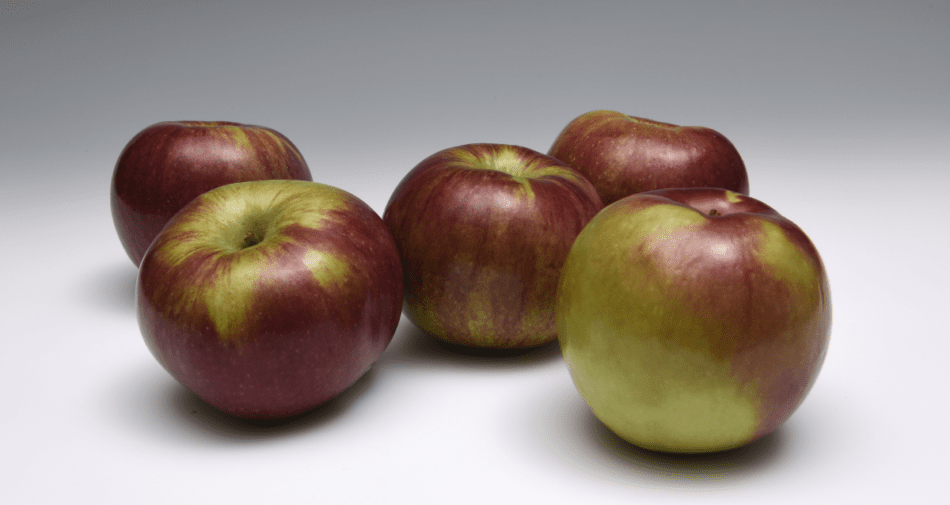 Seasonal Apple Guide, Learn About Apple Varieties