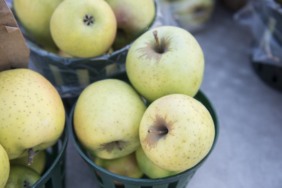 Mutsu apples, also known as Crispin apples, in containers to be sold.