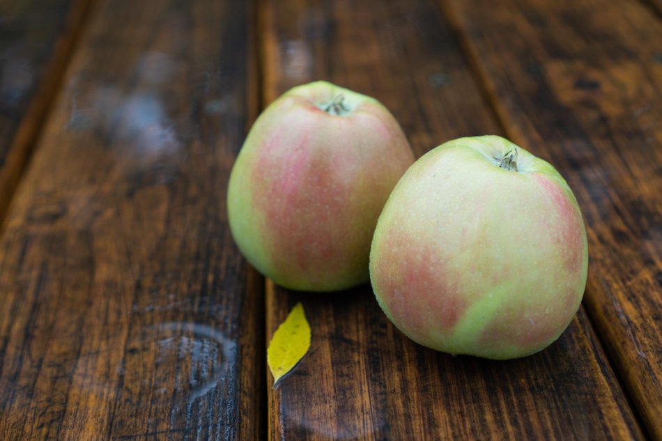 Two Northern Spy apples on a wooden table. 