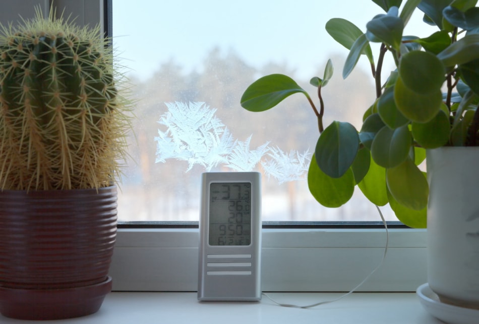 Home electronic thermometer shows the temperature outside -37 degrees cold. Frost froze on the glass. Severe cold snap. Potted flowers on a plastic window sill.