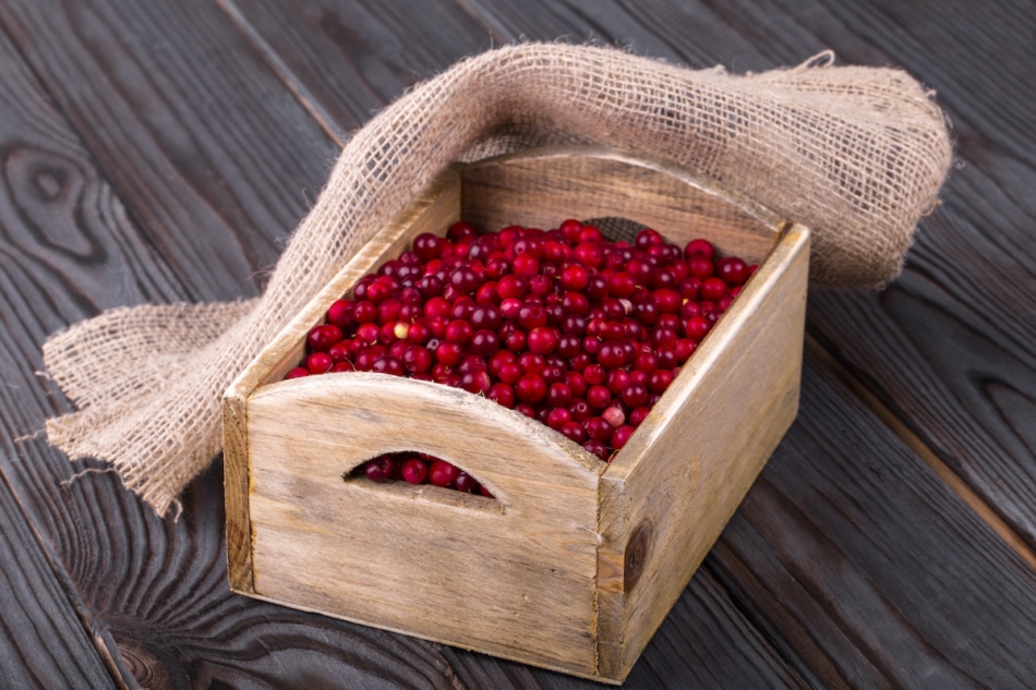 cranberries in a wooden box and burlap on a wooden table.