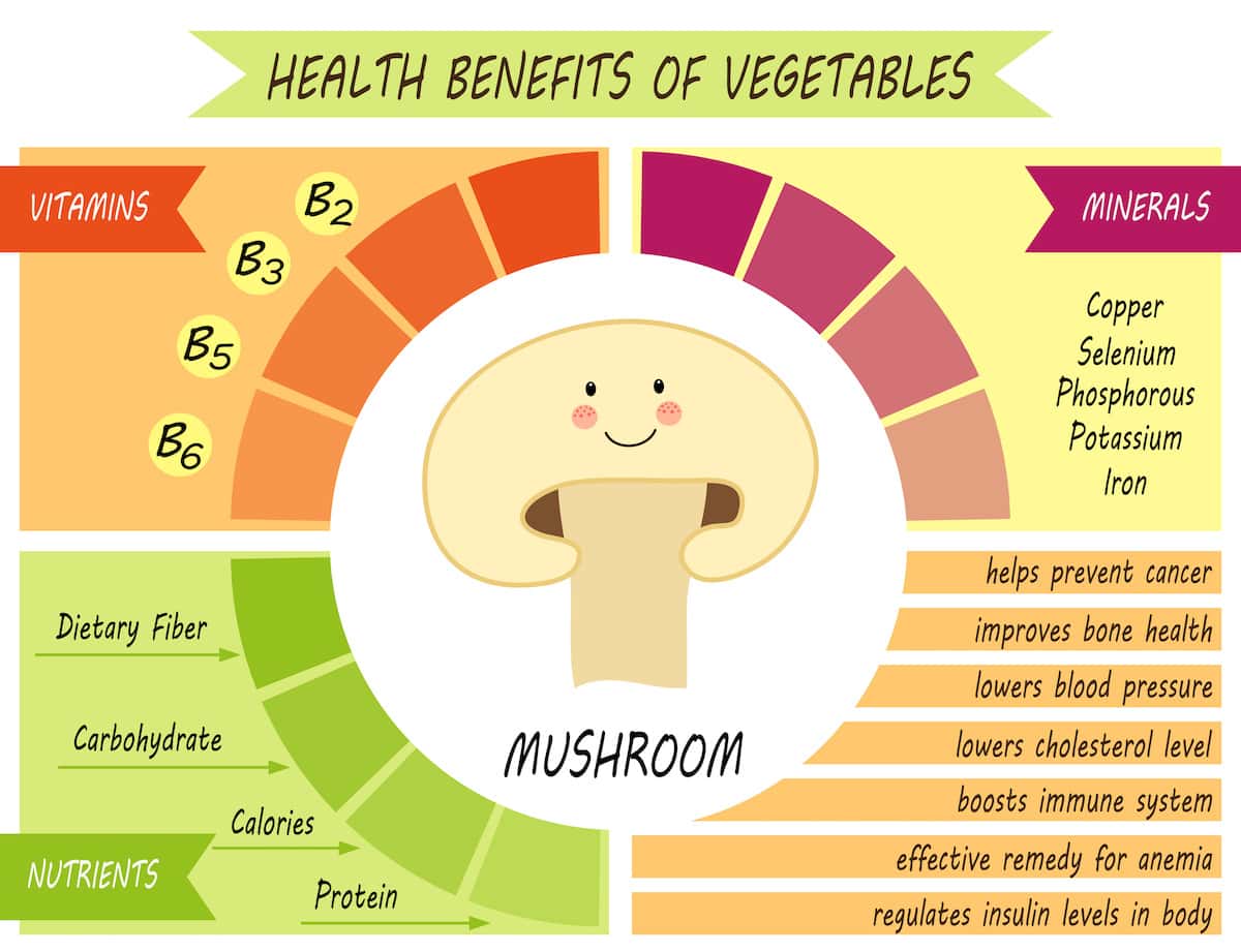 Health benefits of edible mushrooms: vitamins, minerals, and nutrients infographic