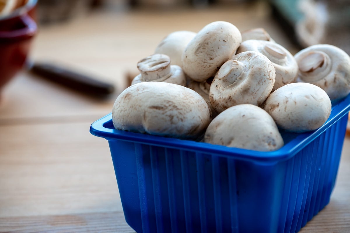 Mushrooms displayed in a plastic tray at the market