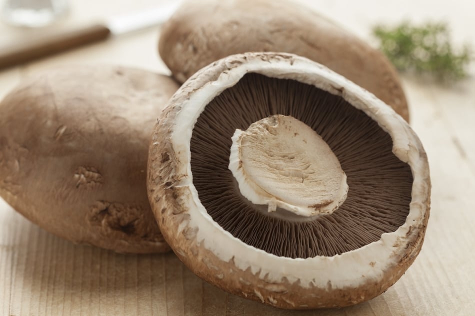 Fresh raw organic portobello mushrooms