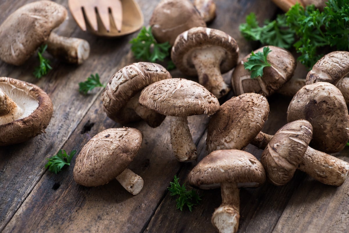 Fresh shiitake mushrooms
