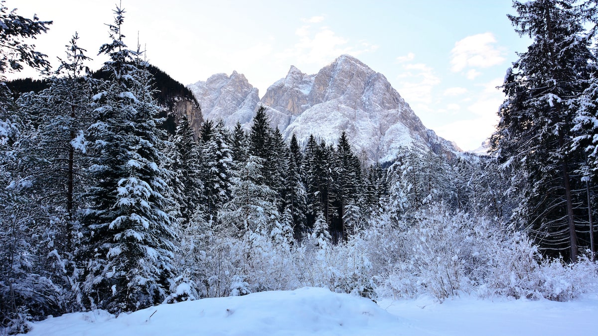 Hard Winter The Coldest Christmas Ever: How December 1983 Set Records