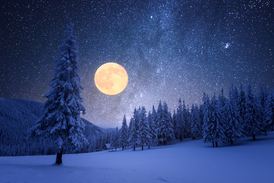 Winter night with full moon and starry sky. Frost covered trees in a mountain forest. Landscape with fresh snow.