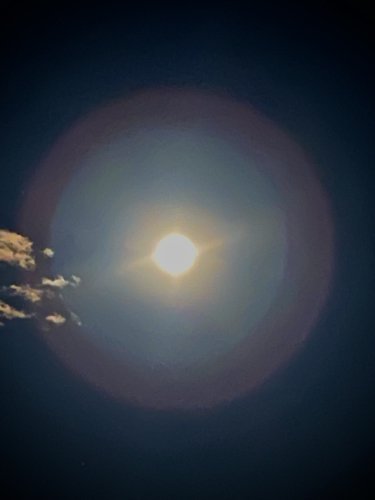 63F604D4-69E8-4607-A0EC-F1C49AEA71FA.jpeg