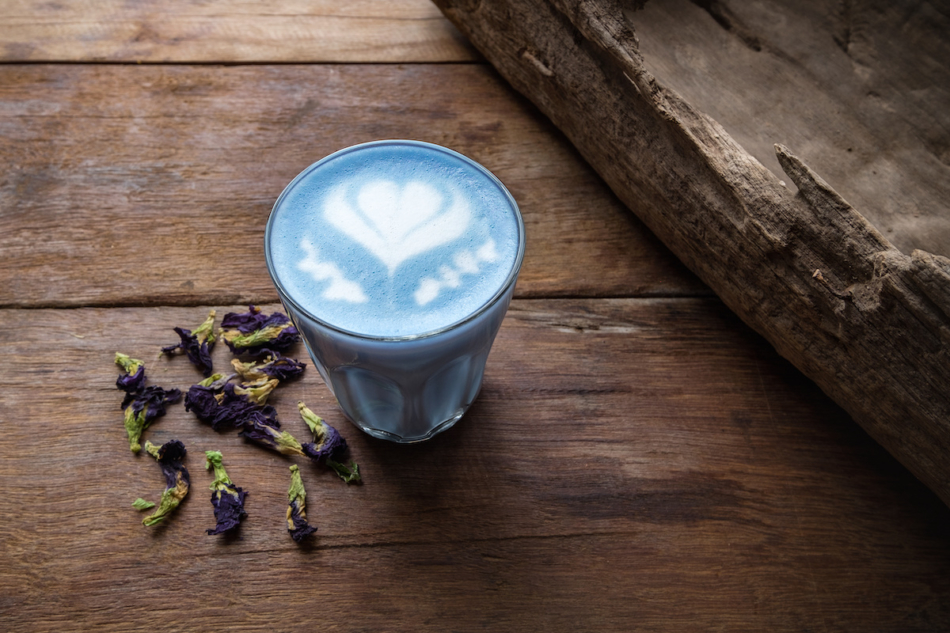 A glass of hot milk butterfly pea latte art on the wooden table in coffee shop.