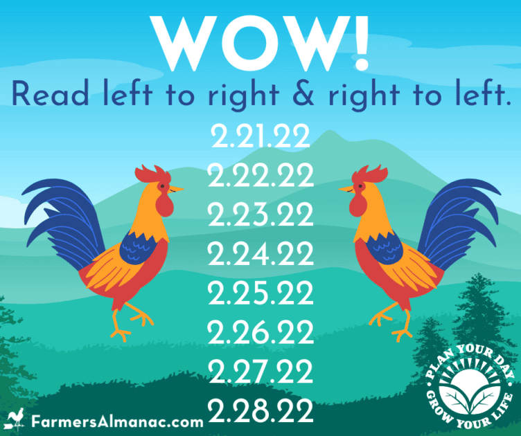 This Week is full of Palindrome Dates Farmers' Almanac Plan Your
