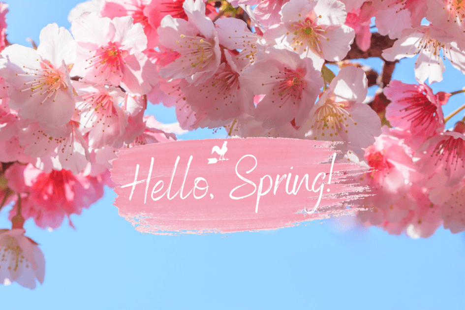 First Day Of Spring 2023 Uk